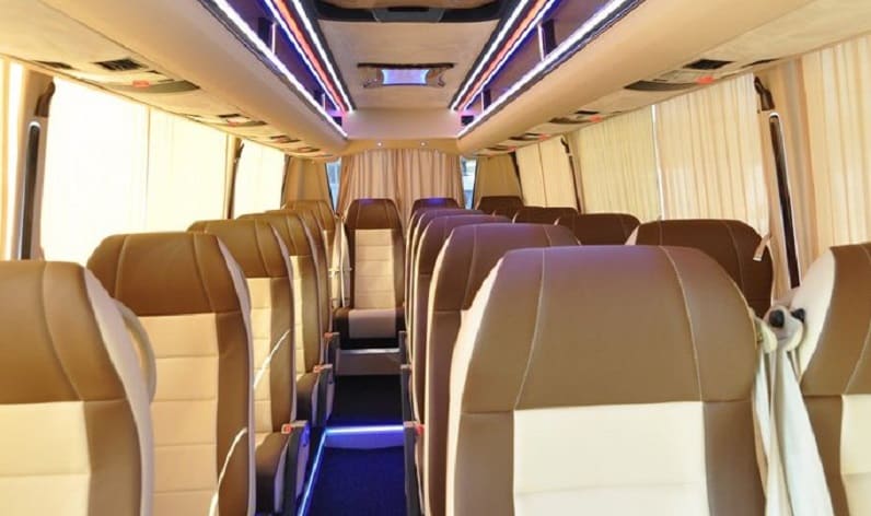 Italy: Buses charter in Florence, Tuscany